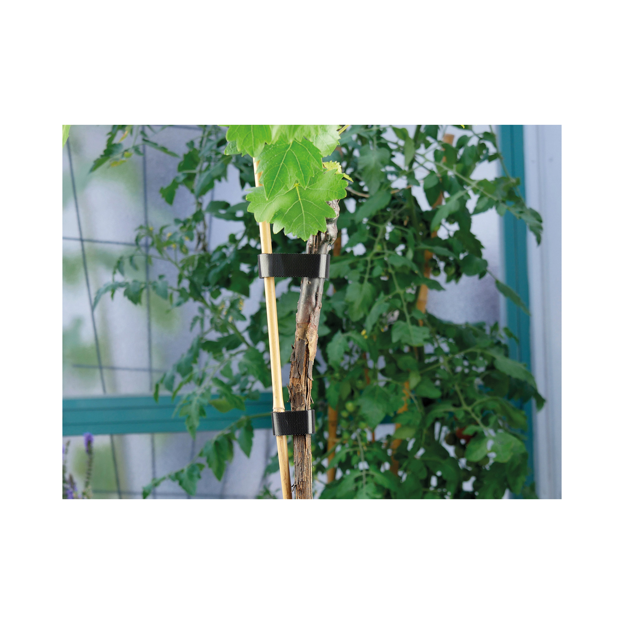 Label-the-cable LTC Pro Roll Strap 25m Schwarz