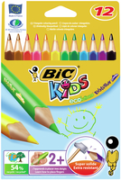 BIC Evolution Triangle farbsortiert 12 Stück